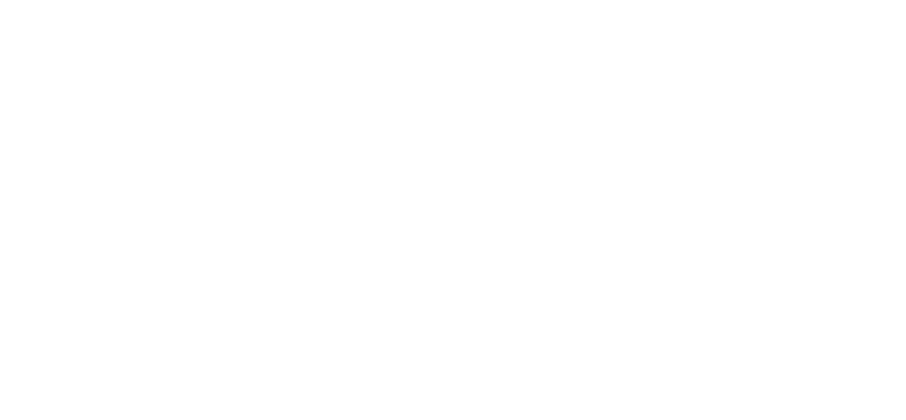 STANDARD SERIES