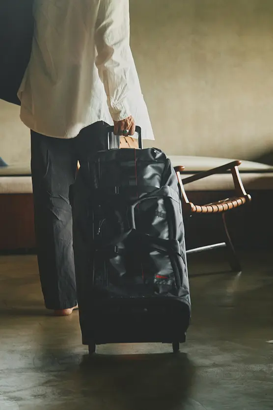 2WHEEL CARRY CARGO 100